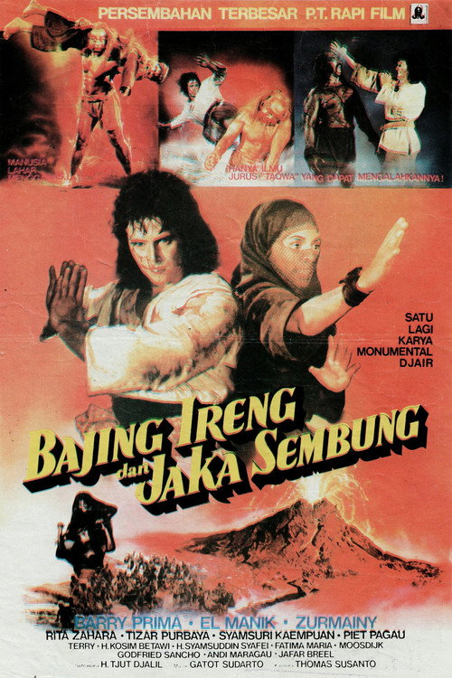 Jaka Sembung & Bergola Ijo — постер