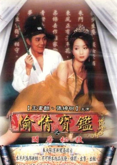 偷情寶鑑之閨房秘技 — постер