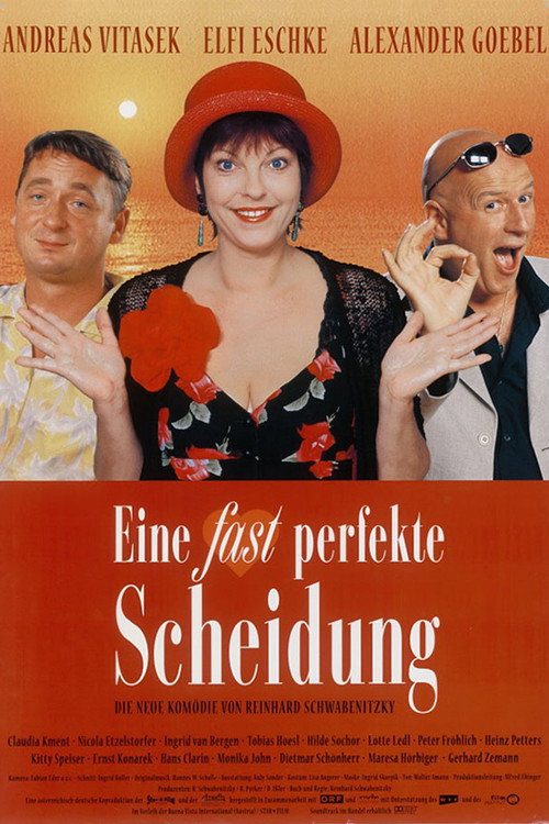 Eine fast perfekte Scheidung — постер