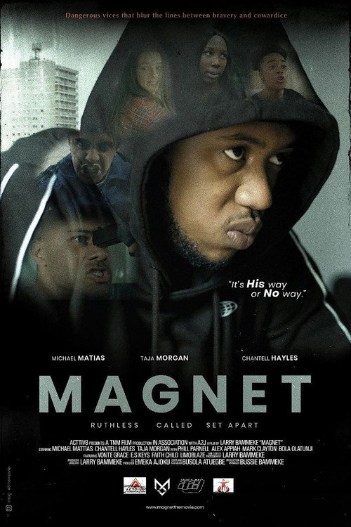 Magnet — постер