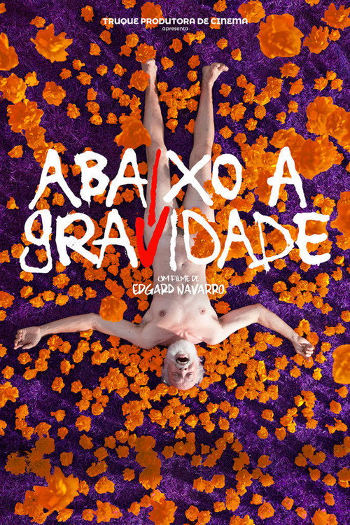 Abaixo a Gravidade — постер