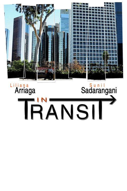 In Transit — постер