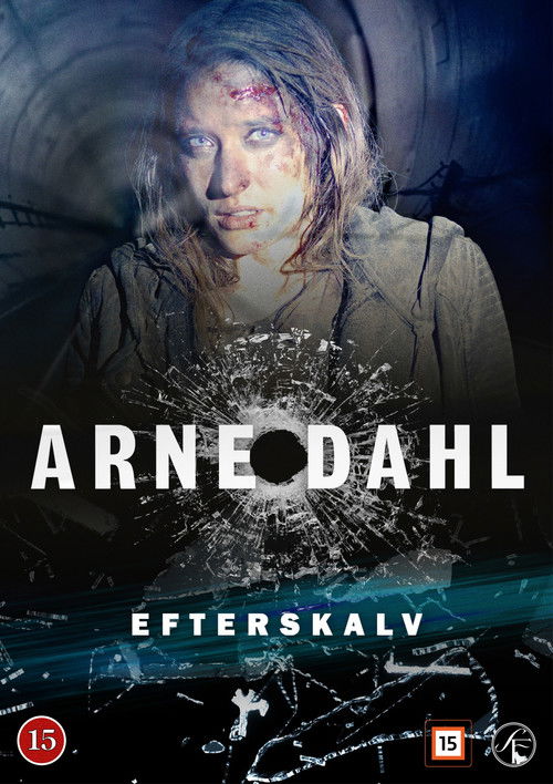 Arne Dahl: Efterskalv — постер