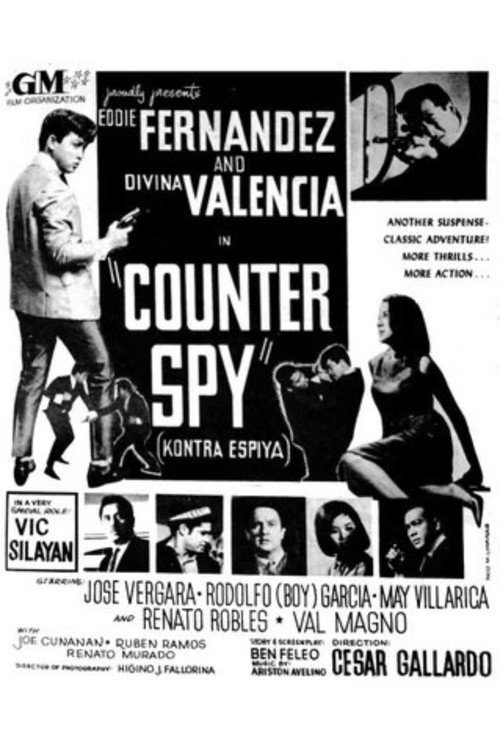 Counter Spy — постер