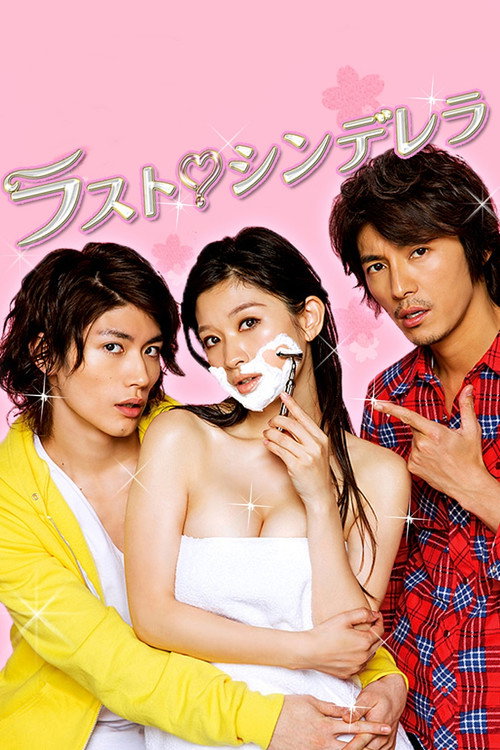 ラスト シンデレラ — постер