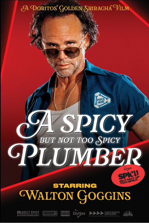 A Spicy but Not Too Spicy Plumber — постер