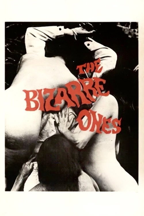 The Bizarre Ones — постер