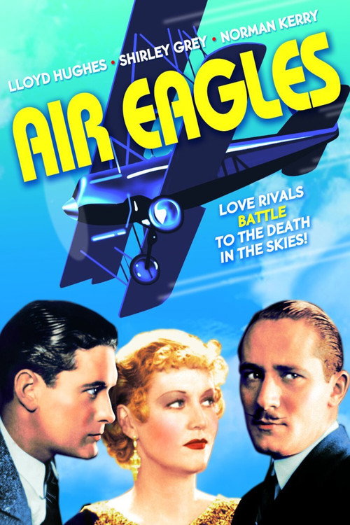 Air Eagles — постер
