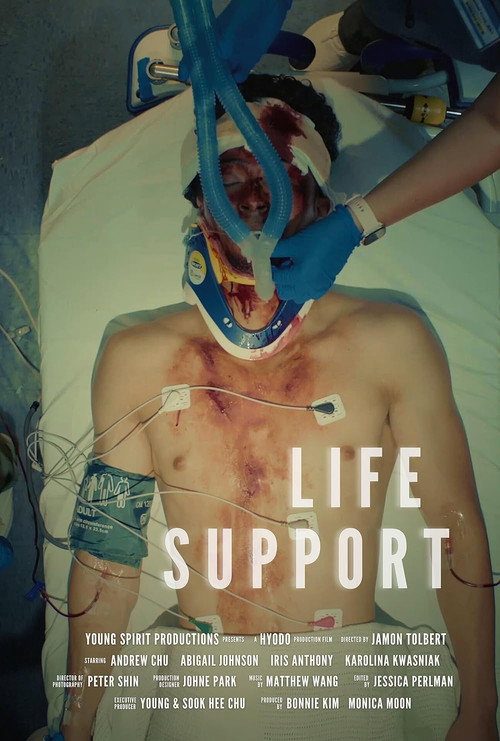 Life Support — постер