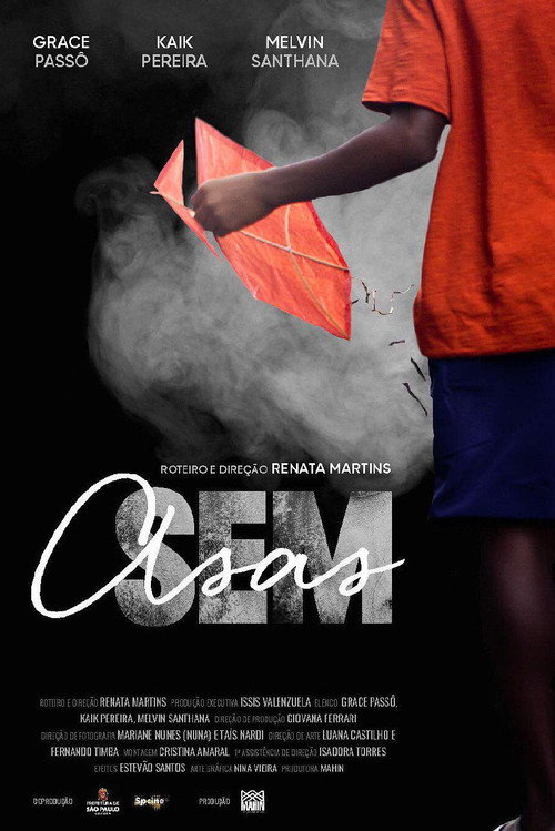 Sem Asas — постер