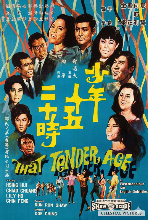 少年十五二十時 — постер