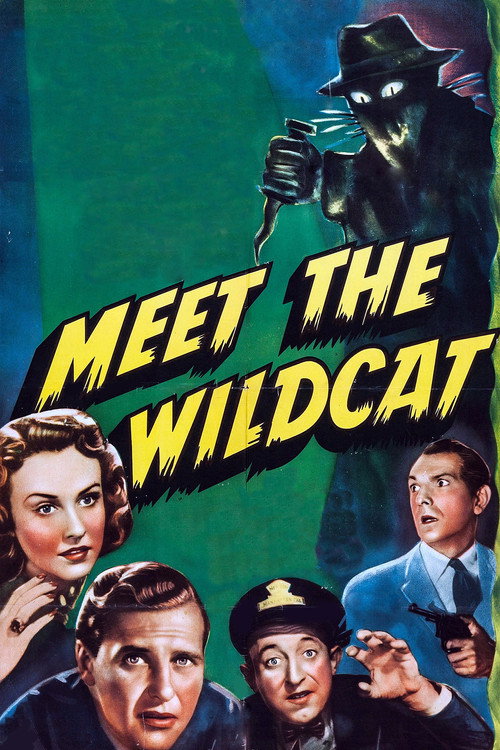 Meet the Wildcat — постер