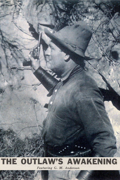 The Outlaw's Awakening — постер