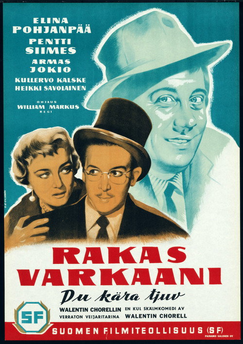 Rakas varkaani — постер