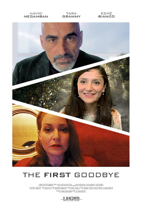 The First Goodbye — постер