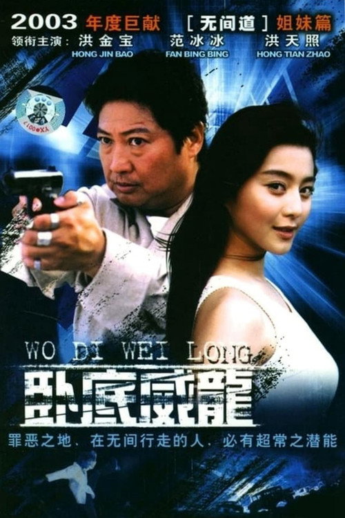 特警飞龙 — постер