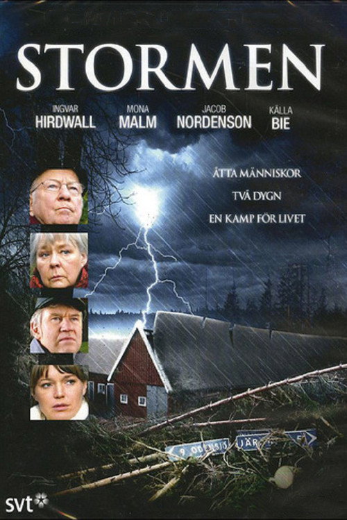 Stormen — постер