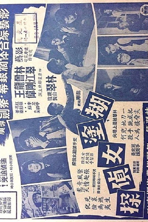 糊塗女偵探 — постер
