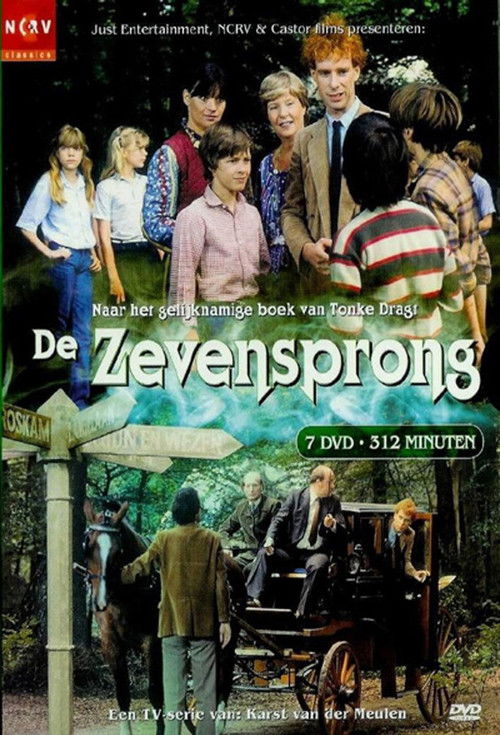 De Zevensprong — постер