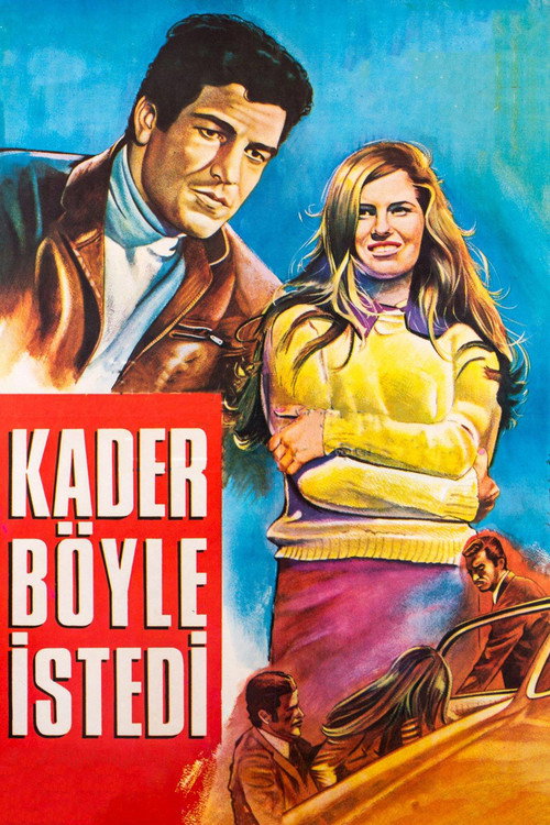 Kader Böyle İstedi — постер