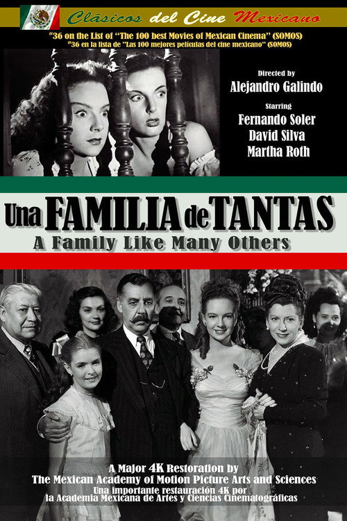 Una familia de tantas — постер