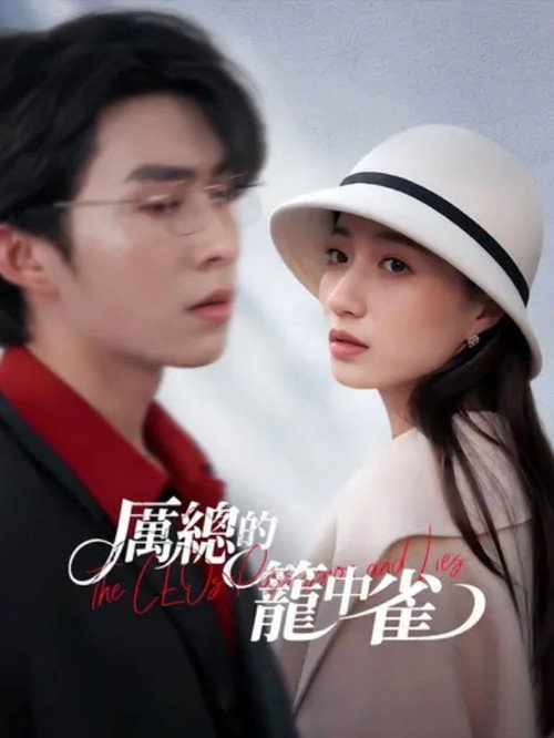厲總的籠中雀 — постер