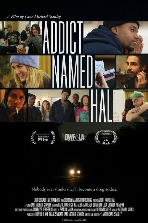 Addict Named Hal — постер