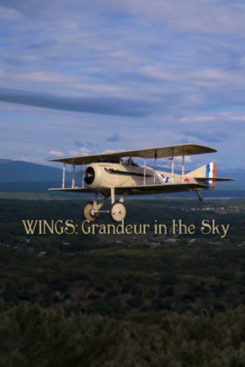 Wings: Grandeur in the Sky — постер