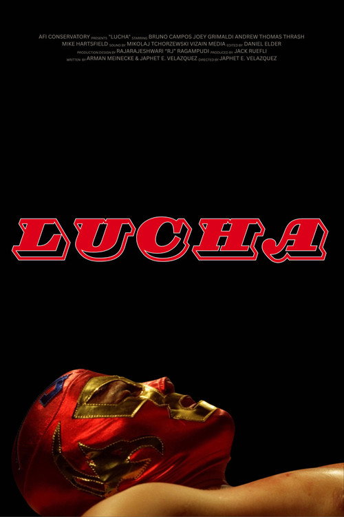 Lucha — постер