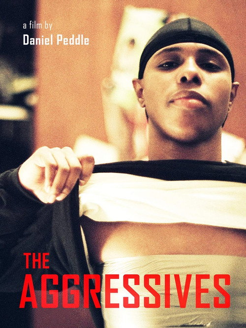 The Aggressives — постер