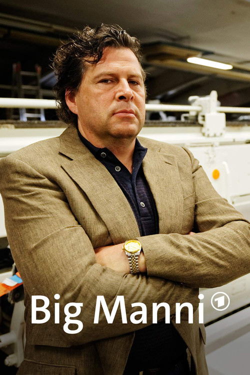 Big Manni — постер