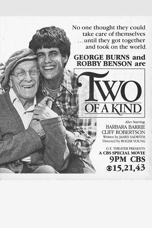 Two of a Kind — постер