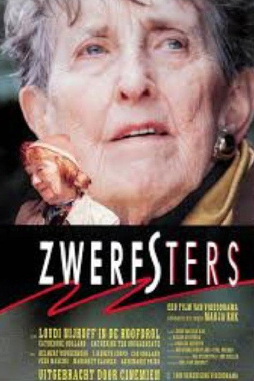 Zwerfsters — постер