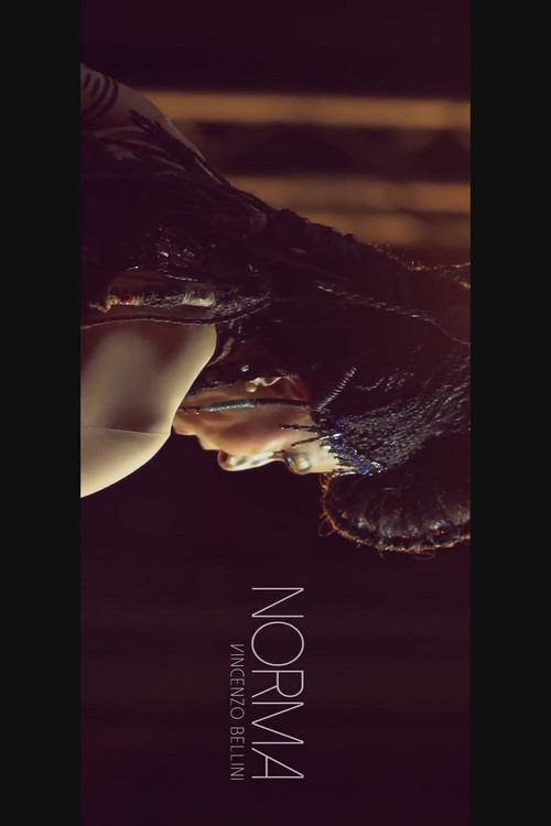 Norma — постер