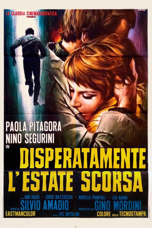 Disperatamente l'estate scorsa — постер