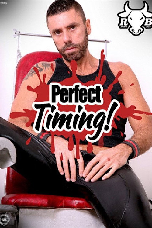 Perfect Timing — постер