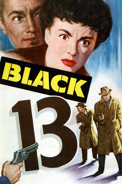 Black 13 — постер