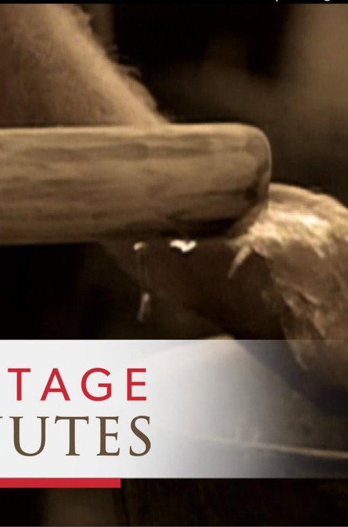 Heritage Minutes: Water Pump — постер