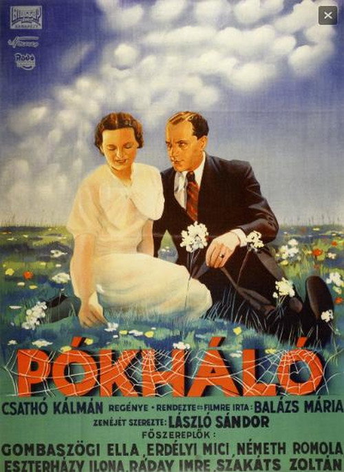 Pókháló — постер