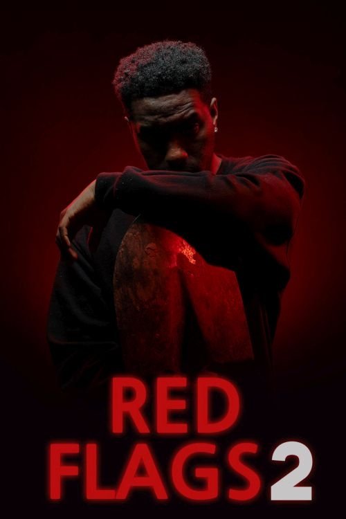Red Flags 2 — постер