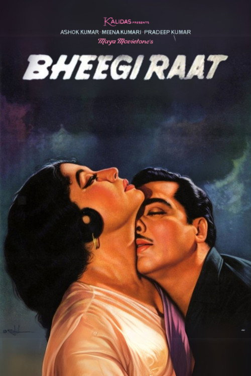 Bheegi Raat — постер