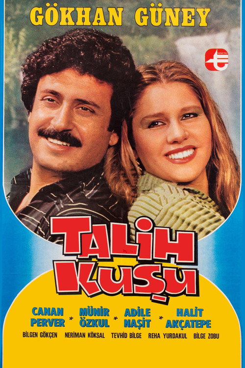 Talih Kuşu — постер