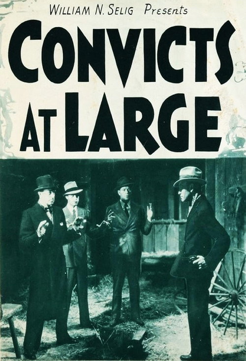 Convicts at Large — постер