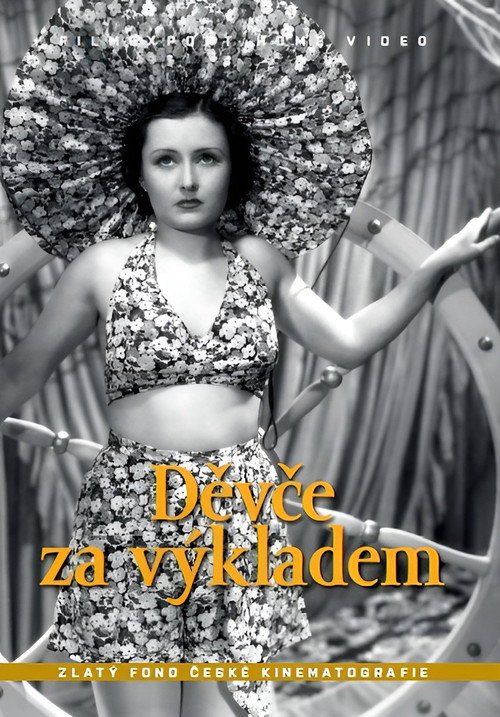 Děvče za výkladem — постер
