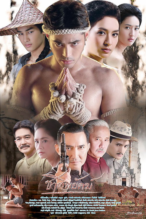 ชาติพยัคฆ์ — постер