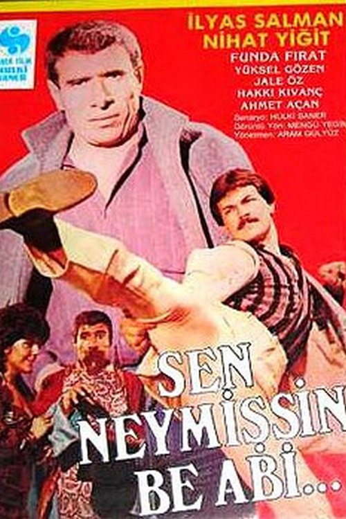 Sen Neymişsin Be Abi... — постер