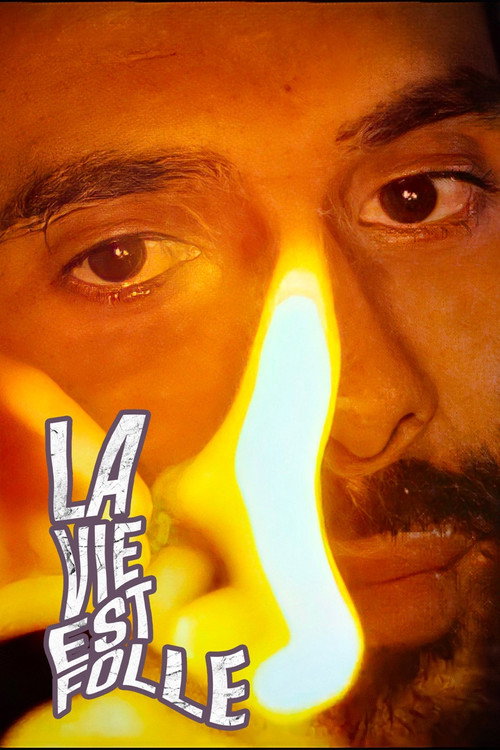 Mustapha El Atrassi - La Vie Est Folle — постер