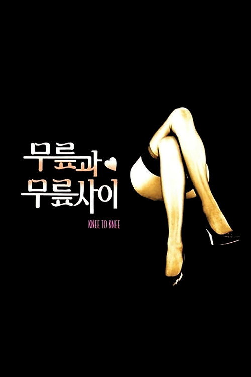 무릎과 무릎 사이 — постер
