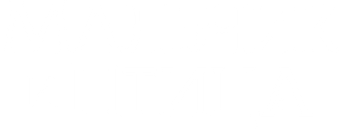 Мальчик и птица — логотип