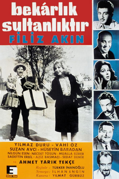 Bekarlık Sultanlıktır — постер